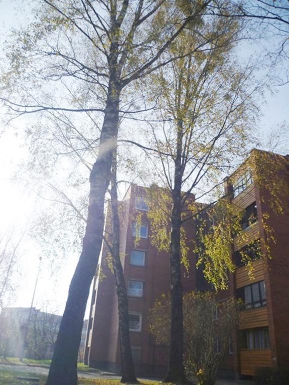 Saulys1 Lägenhet Druskininkai Rum bild